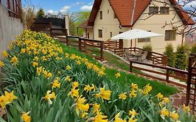 Apartament Matei