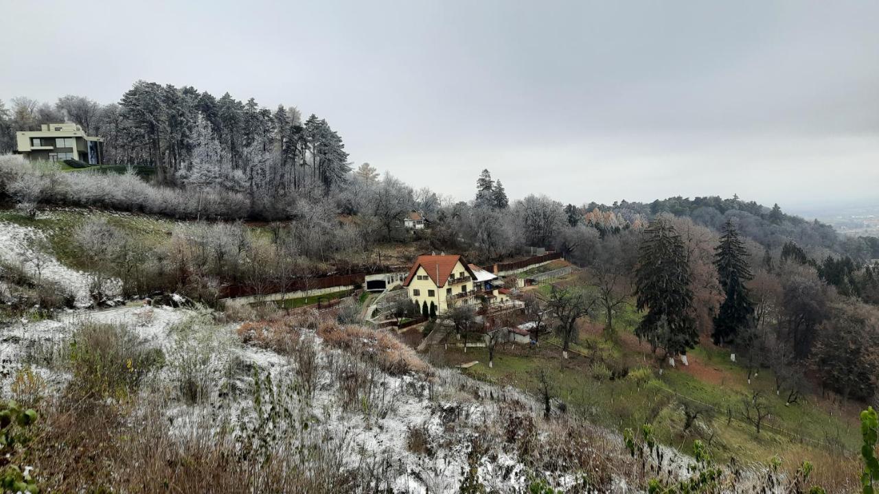 Apartament Matei Brașov Exterior foto
