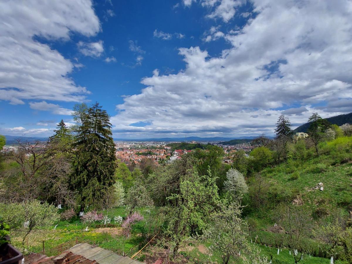 Apartament Matei Brașov Exterior foto